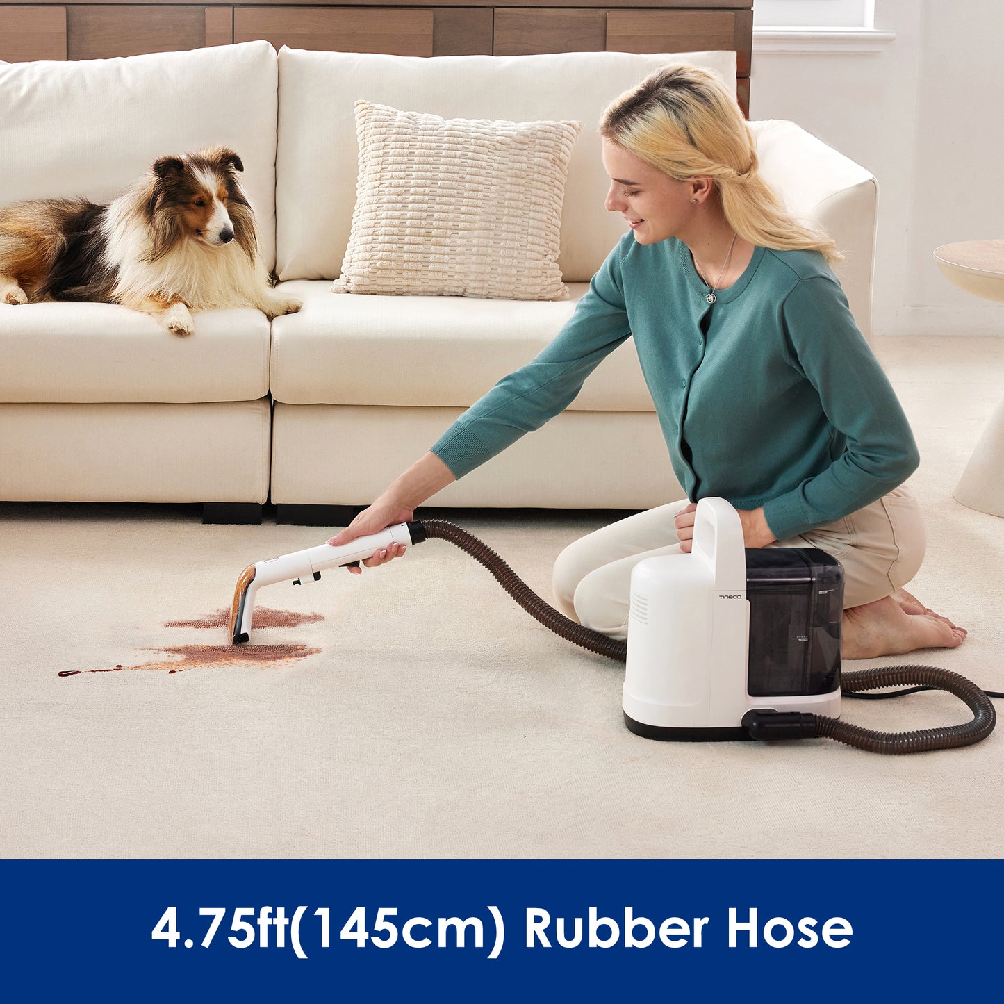 iSpot Essentials Smart Corded Carpet Cleaner