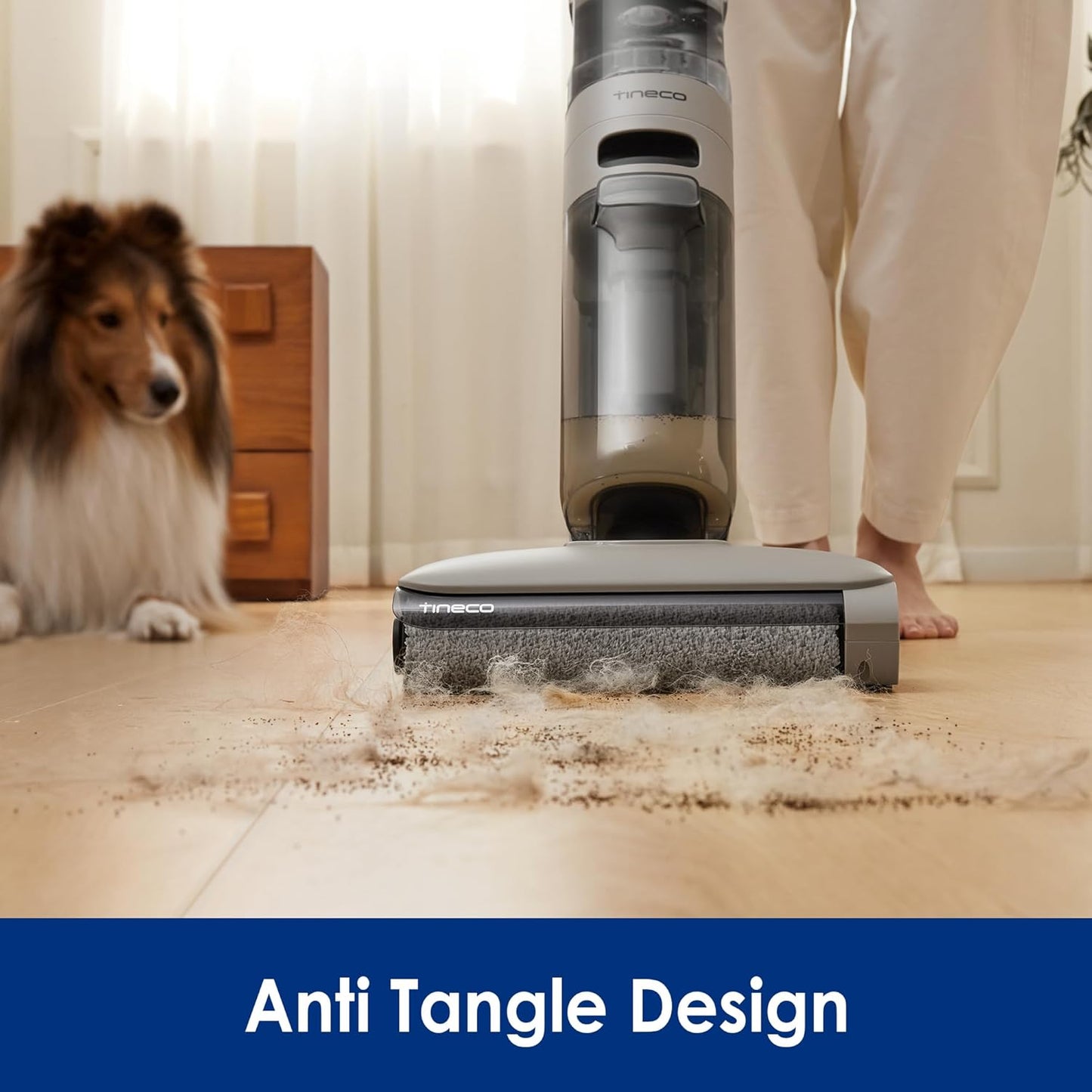 iFLOOR Y2 Lite Wet Dry Vacuum Cleaner